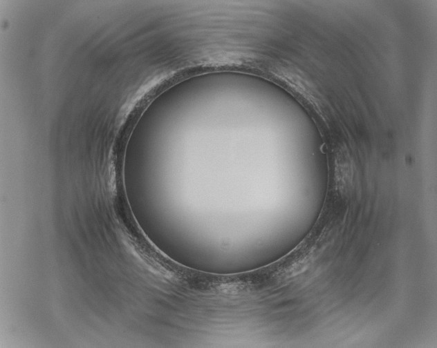 X0000070380584200606121255