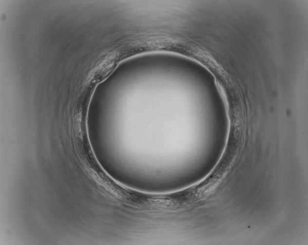 X0000070380585200606121255