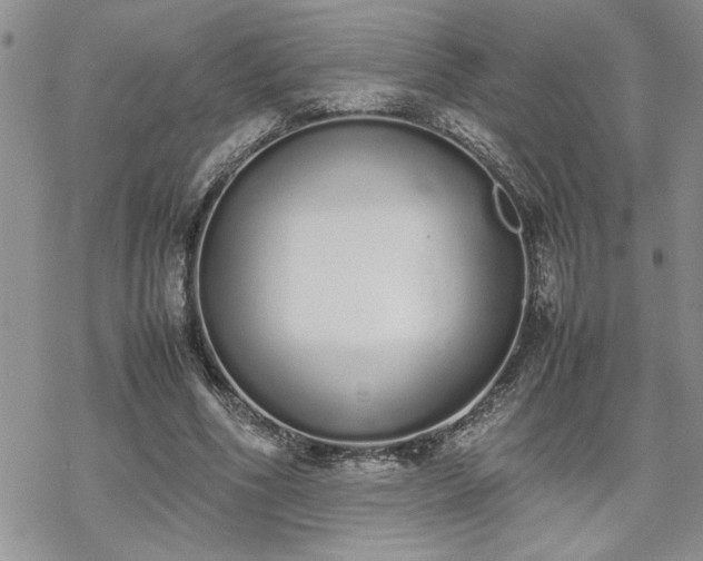 X0000070380586200606121255