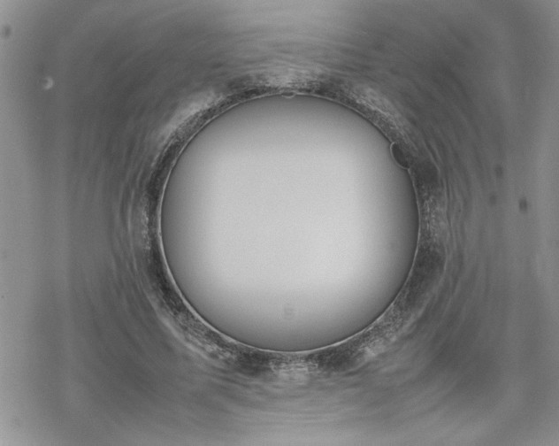 X0000070380587200606121255