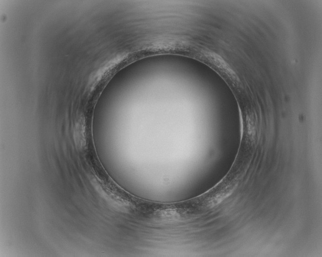 X0000070380588200606121255