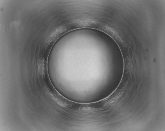 X0000070380590200606121255