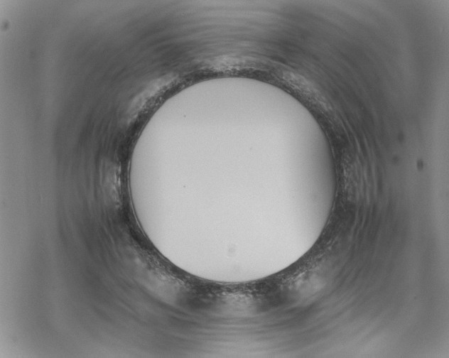 X0000070380592200606121255