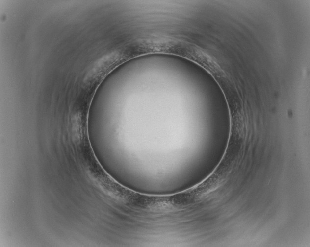 X0000070380594200606121255