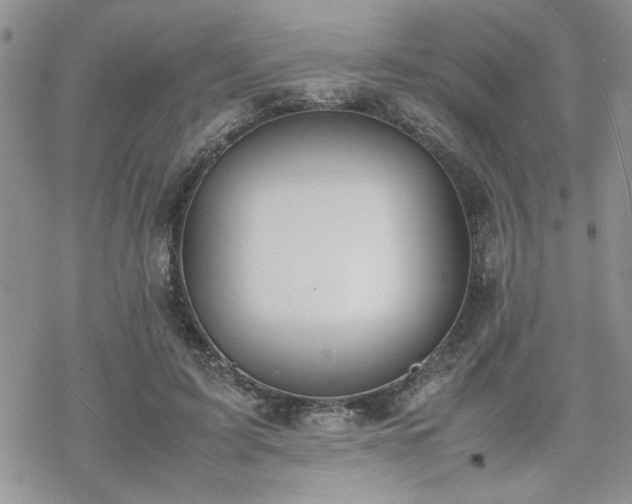 X0000070380595200606121255