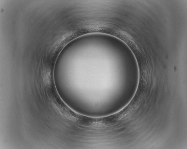 X0000070380596200606121255