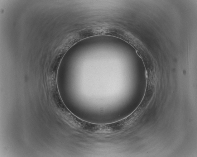 X0000070380601200606121254