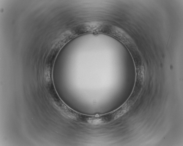 X0000070380602200606121254