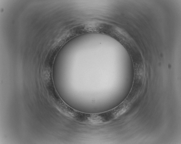 X0000070380603200606121254