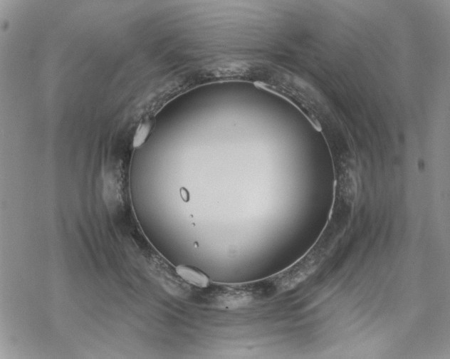 X0000070380604200606121254