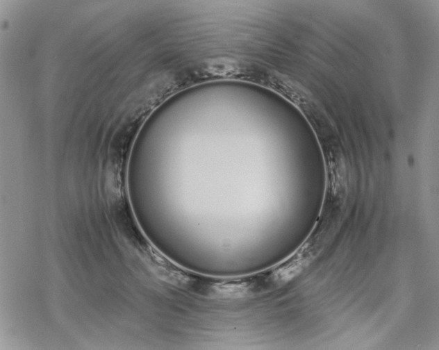 X0000070380606200606121254