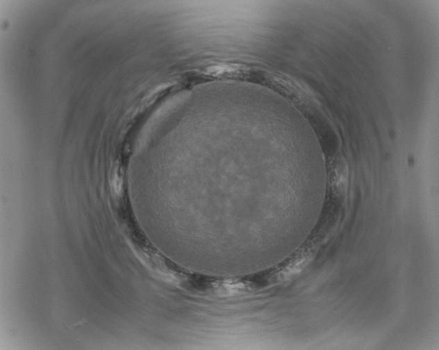 X0000070380607200606121254