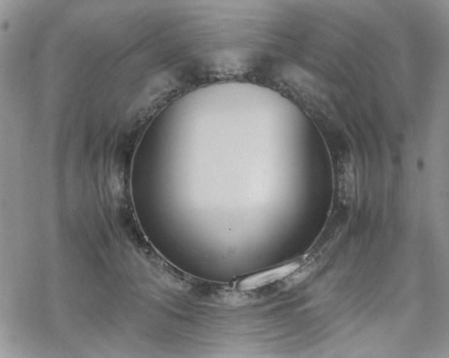 X0000070380608200606121254