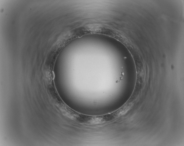 X0000070380609200606121254