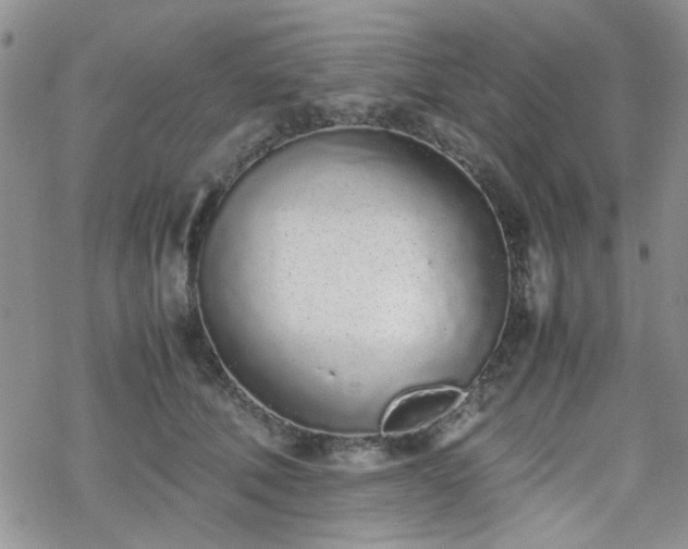 X0000070380610200606121254