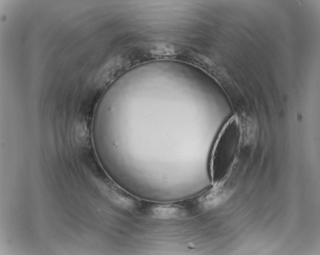 X0000070380614200606121254