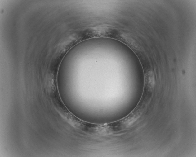 X0000070380615200606121254