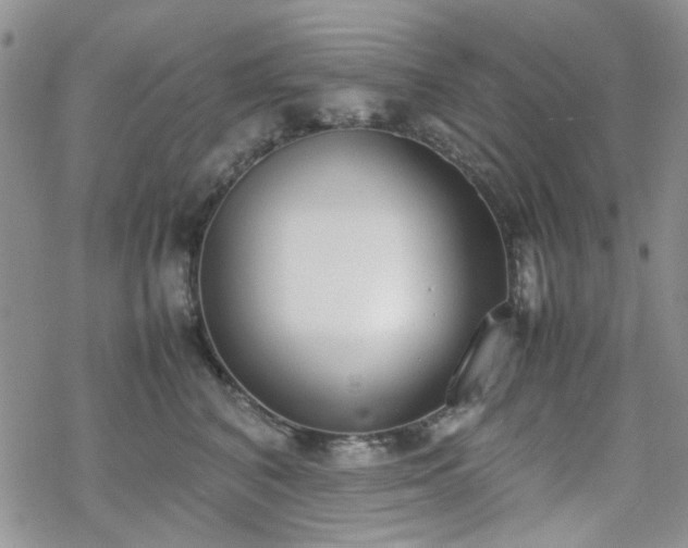 X0000070380616200606121254