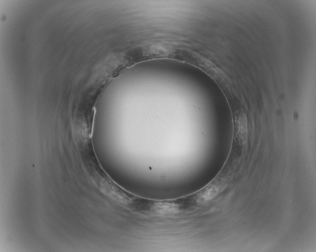 X0000070380617200606121254