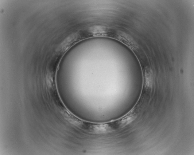 X0000070380618200606121254