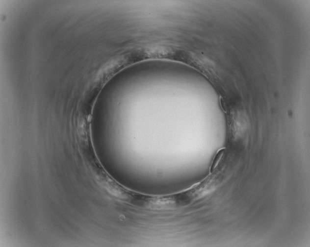 X0000070380619200606121254