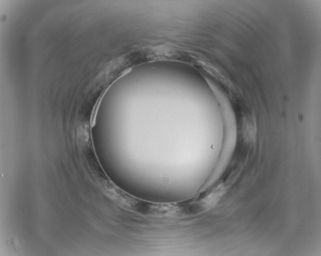 X0000070380621200606121254