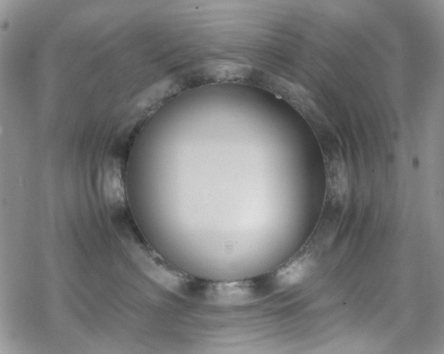 X0000070380622200606121254