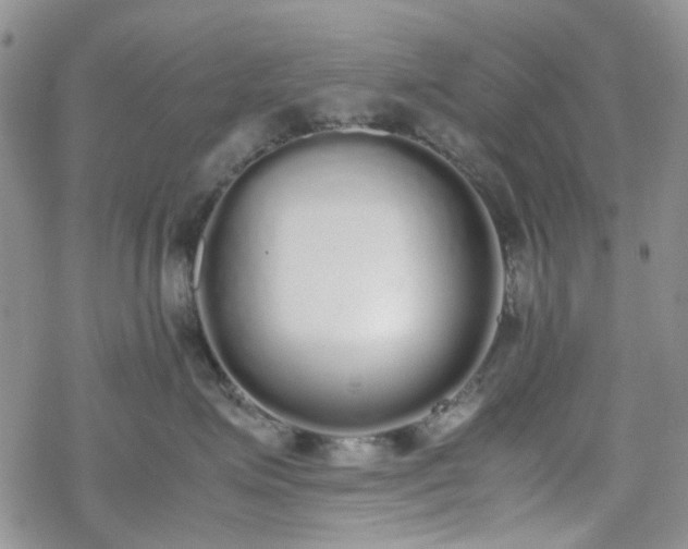 X0000070380623200606121254