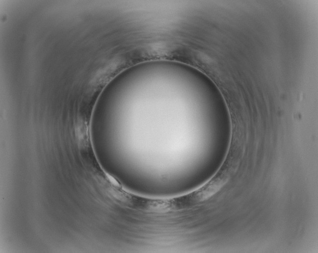 X0000070380624200606121254