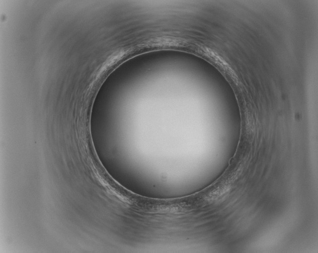 X0000070380625200606121253