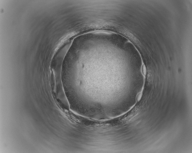 X0000070380626200606121253