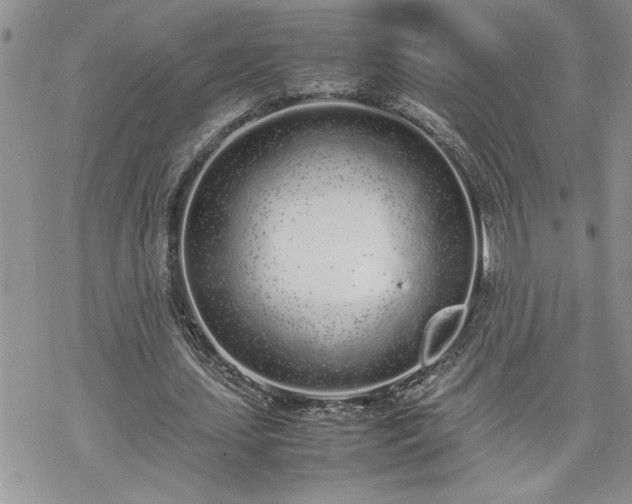 X0000070380627200606121253