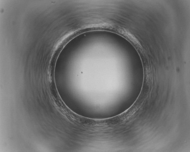 X0000070380628200606121253