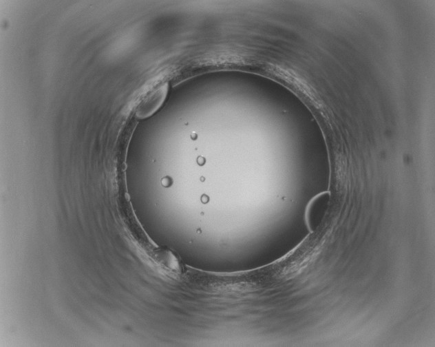 X0000070380629200606121253