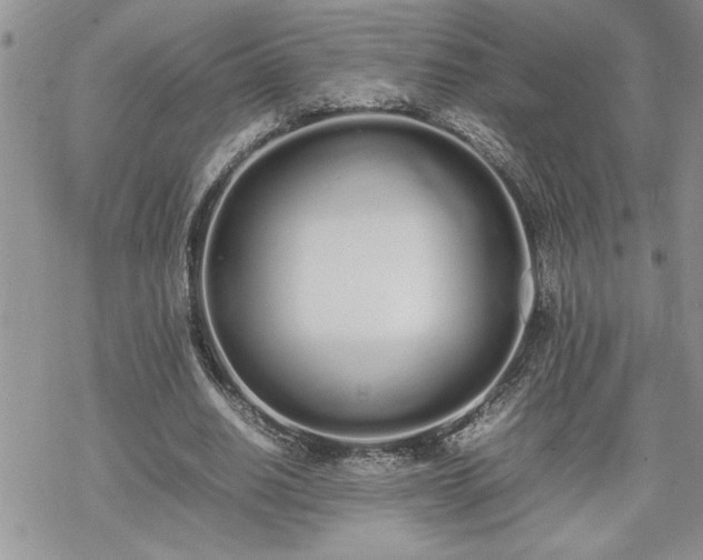 X0000070380630200606121253