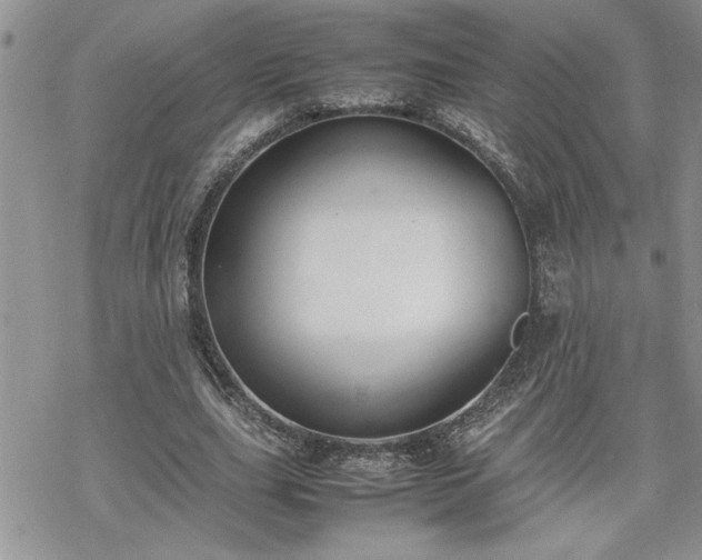 X0000070380631200606121253