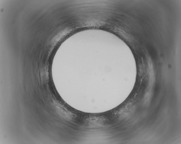 X0000070380632200606121253