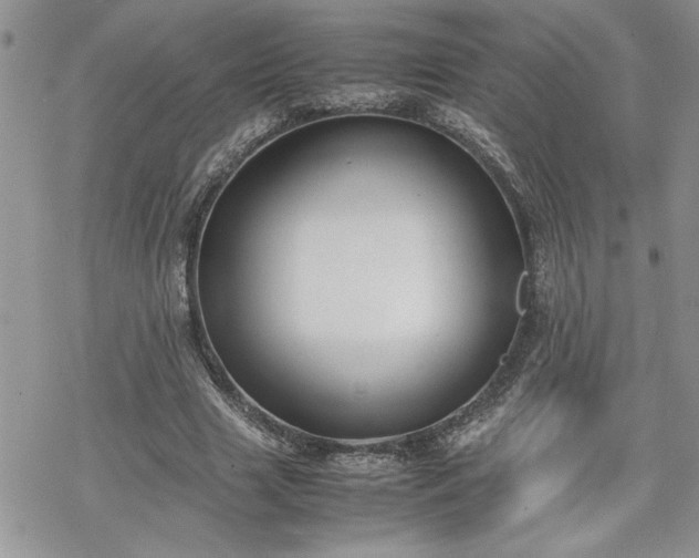 X0000070380633200606121253