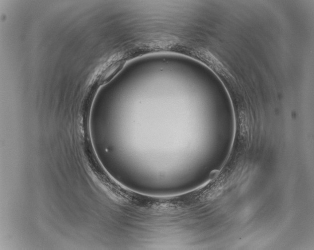 X0000070380634200606121253