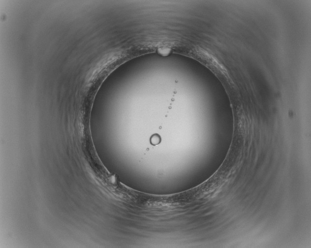 X0000070380635200606121253