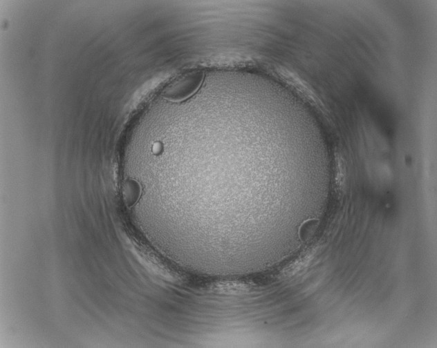 X0000070380636200606121253