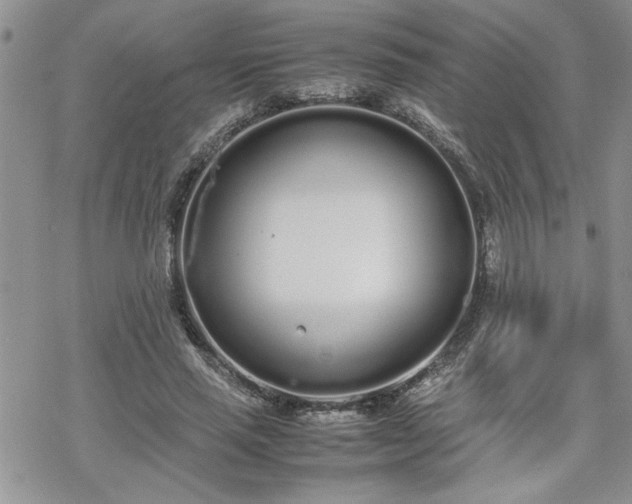 X0000070380637200606121253