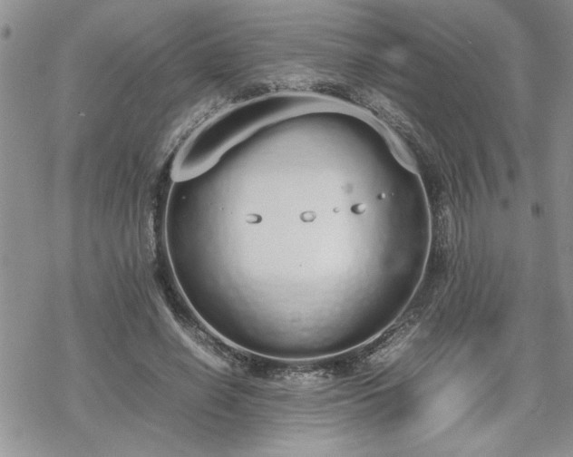 X0000070380638200606121253