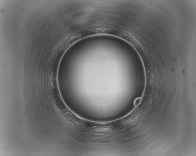 X0000070380643200606121254