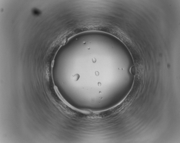 X0000070380644200606121254