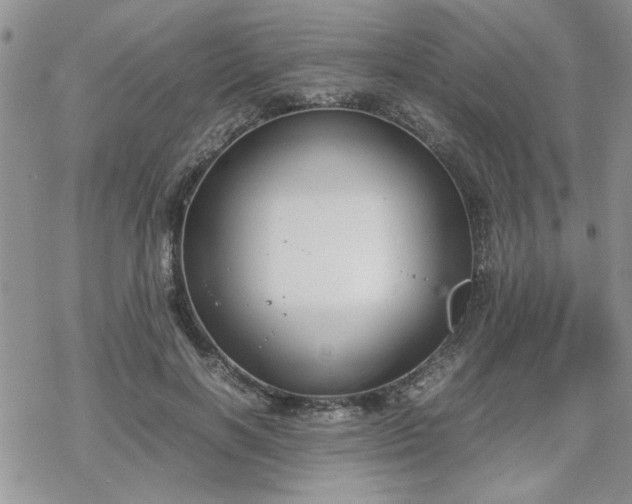 X0000070380646200606121254