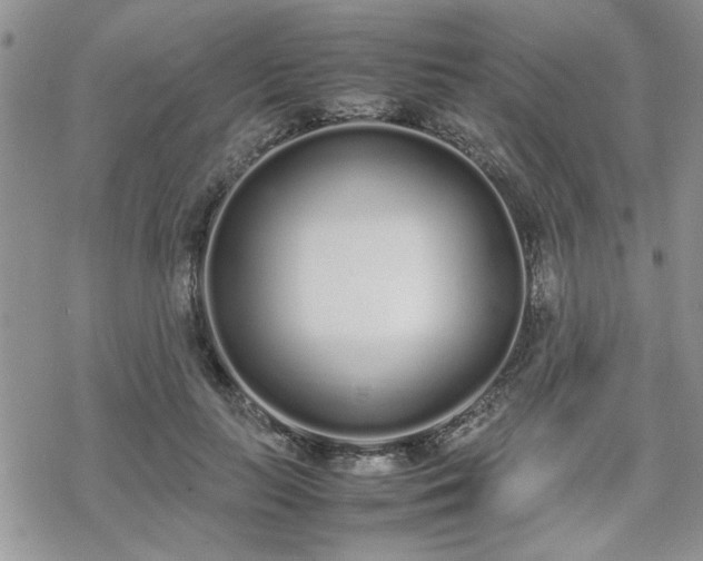 X0000070380647200606121254