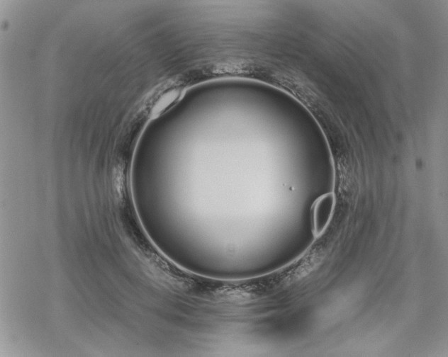 X0000070380648200606121254