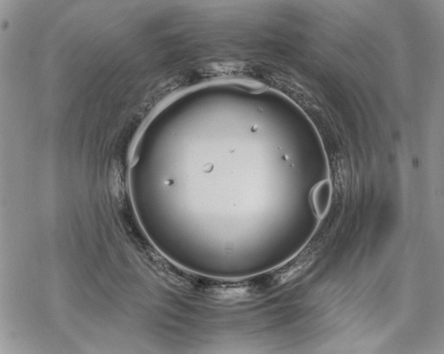 X0000070380651200606121254