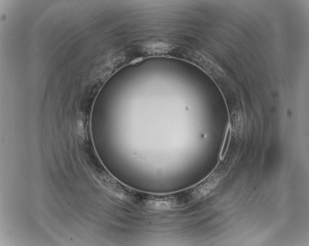 X0000070380655200606121254